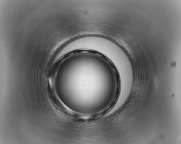 X0000091960684200709061302