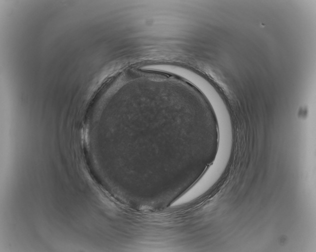 X0000091960685200709061302