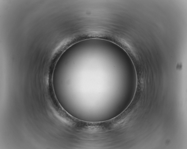 X0000091960686200709061302