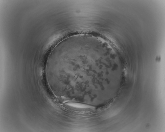 X0000091960687200709061302