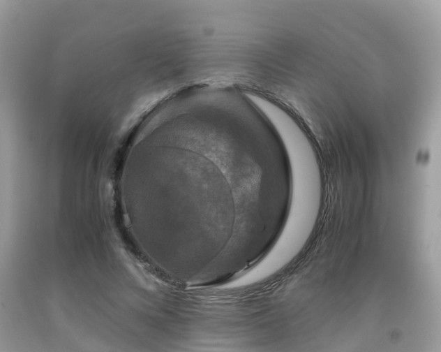 X0000091960688200709061302