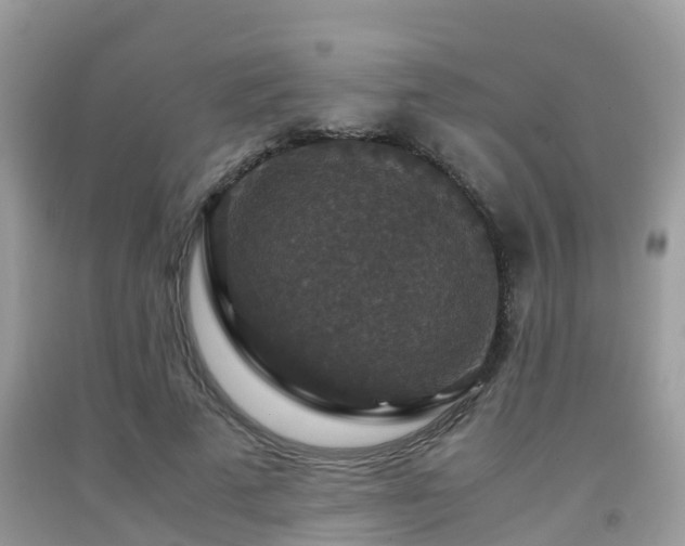 X0000091960689200709061302