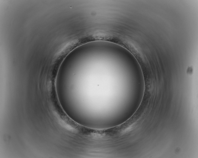 X0000091960690200709061302