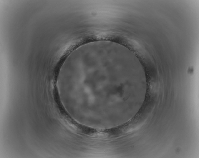 X0000091960691200709061302