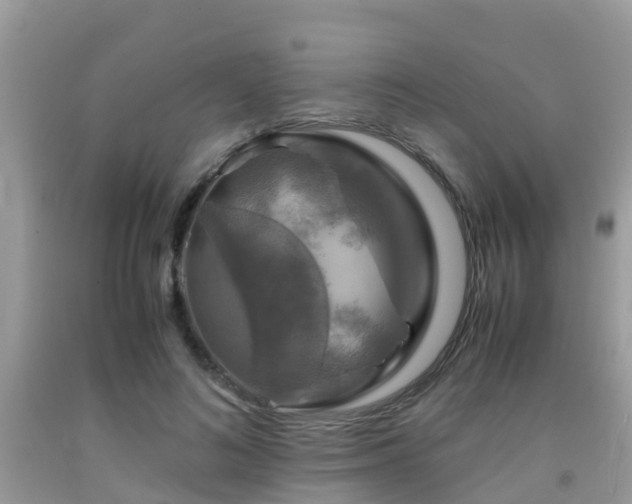 X0000091960692200709061302