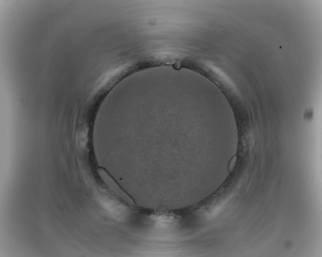 X0000091960693200709061302