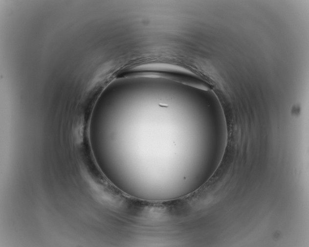 X0000091960694200709061302