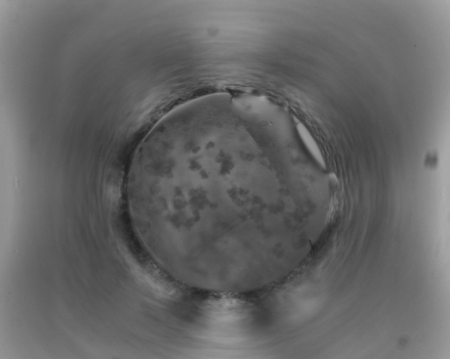 X0000091960695200709061302