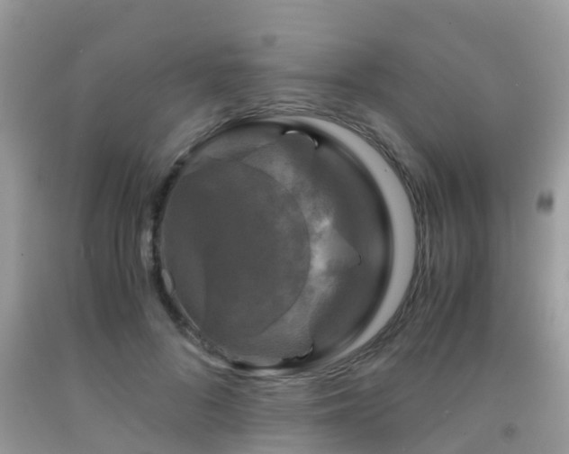 X0000091960696200709061302