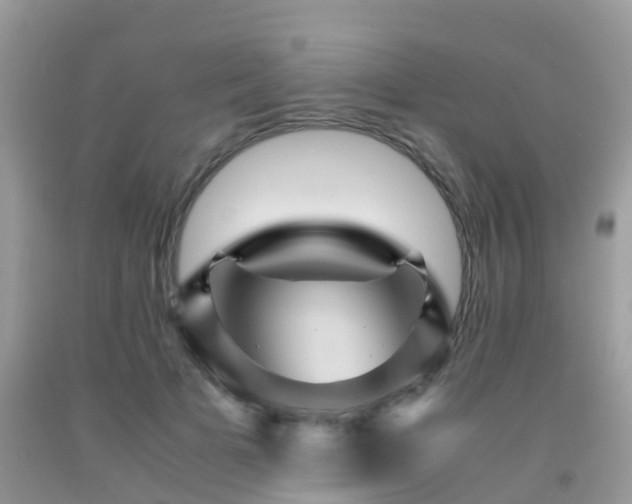 X0000091960697200709061302