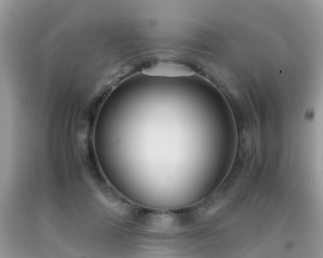 X0000091960698200709061302