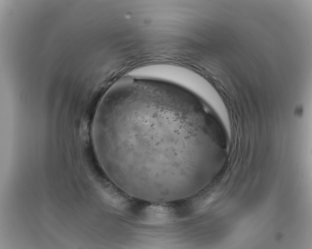 X0000091960699200709061302