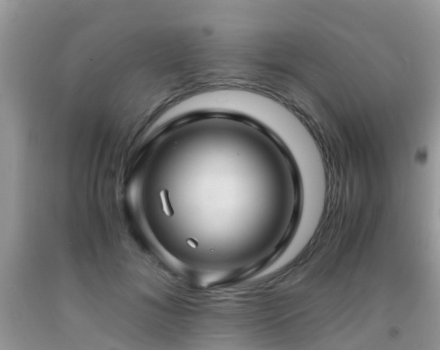 X0000091960700200709061302