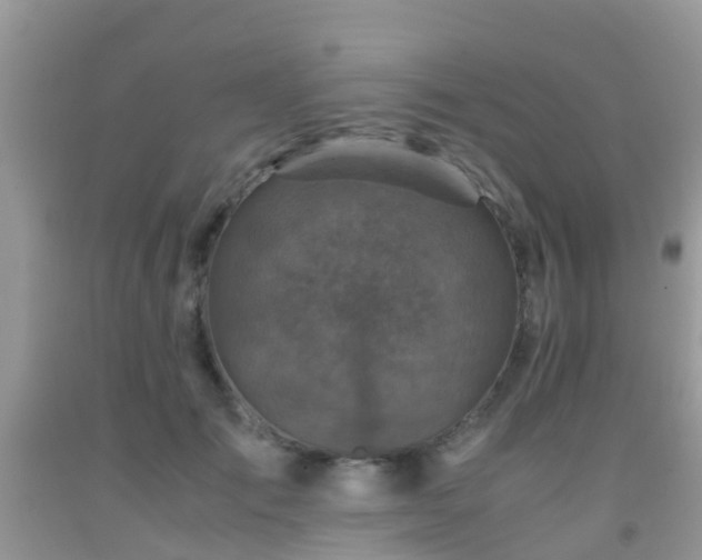 X0000091960701200709061302