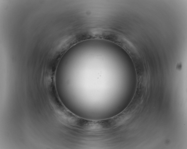 X0000091960702200709061302