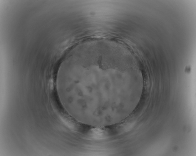 X0000091960703200709061302