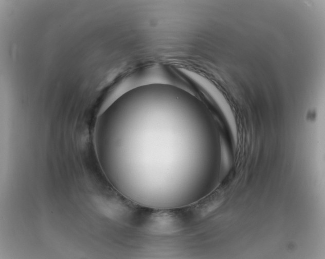 X0000091960704200709061302