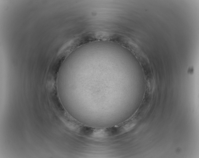 X0000091960705200709061302