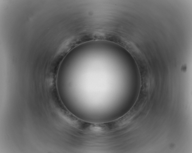 X0000091960706200709061302