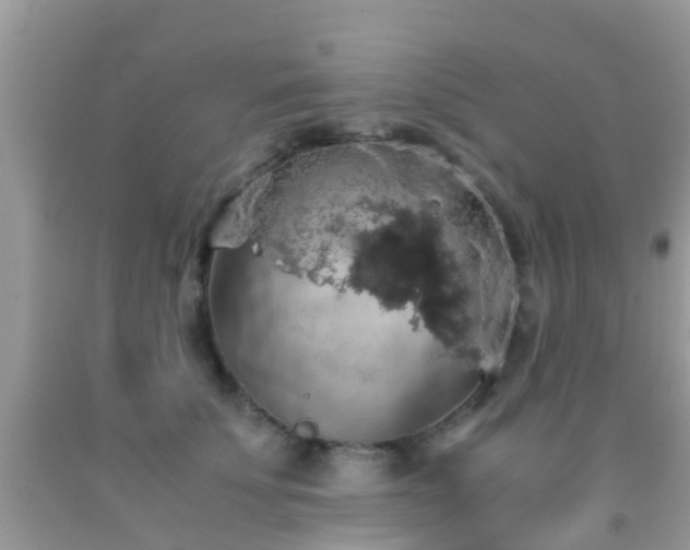 X0000091960707200709061302