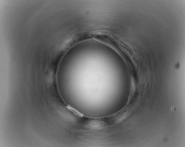 X0000091960708200709061302