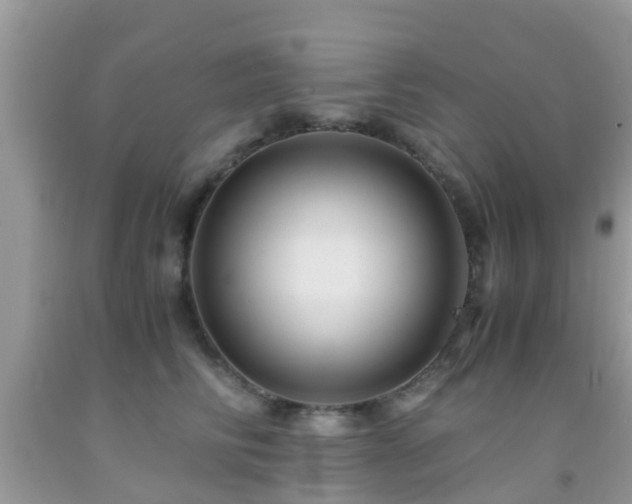 X0000091960710200709061301