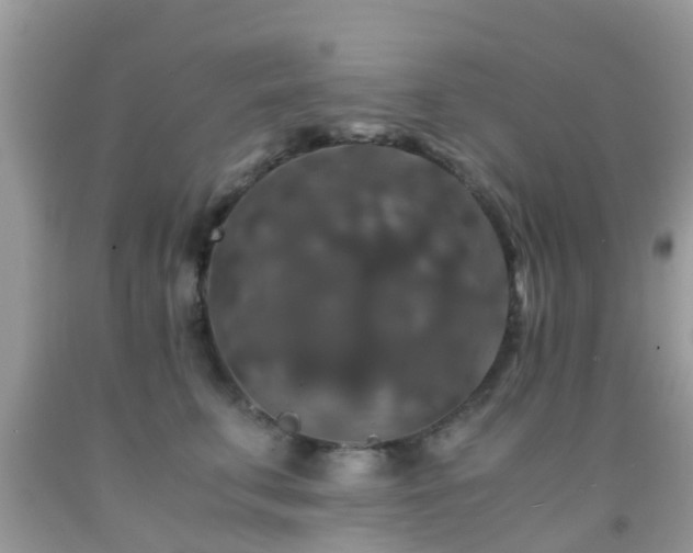 X0000091960711200709061301