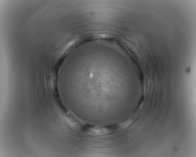 X0000091960712200709061301