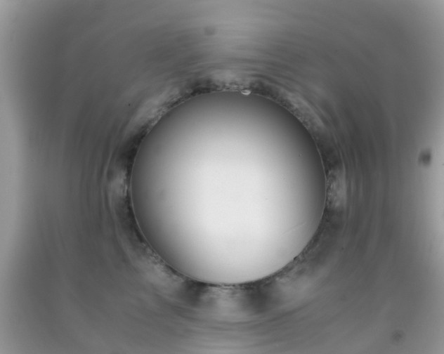 X0000091960713200709061301