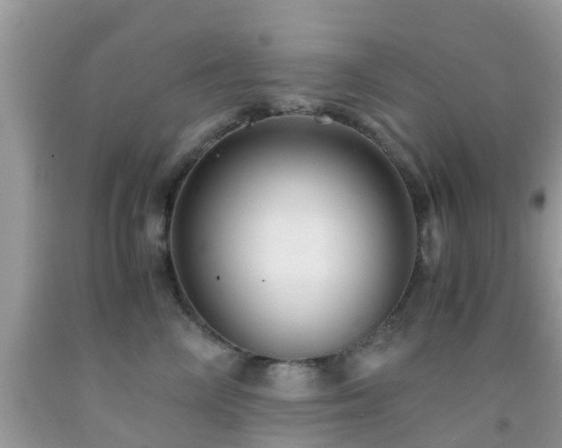 X0000091960714200709061301