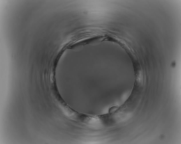 X0000091960715200709061301