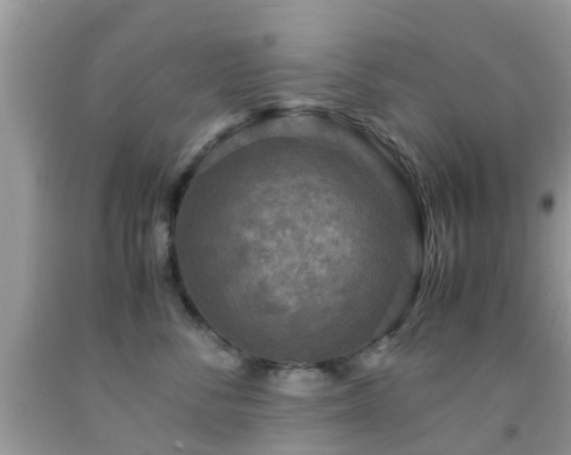 X0000091960716200709061301