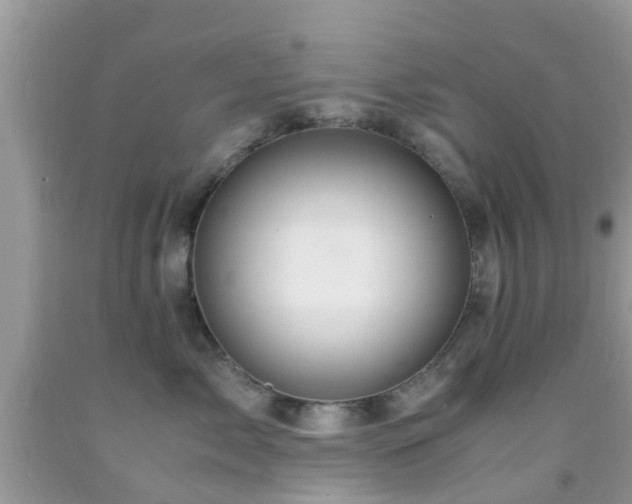 X0000091960717200709061301