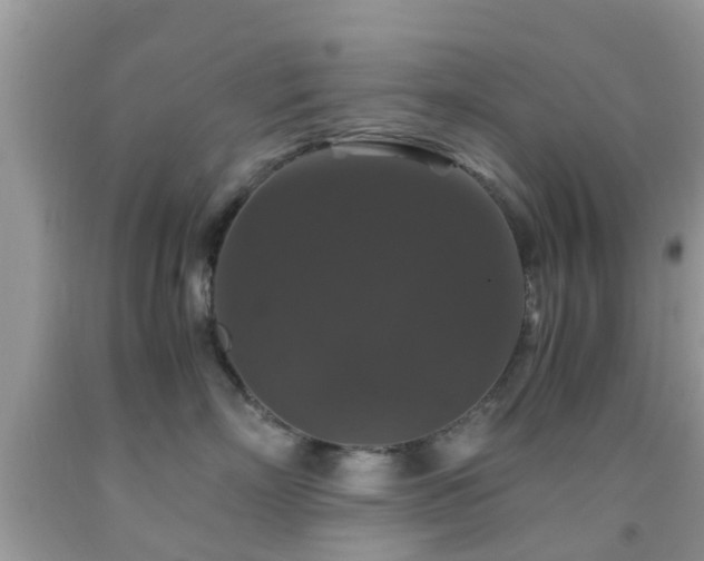 X0000091960718200709061301