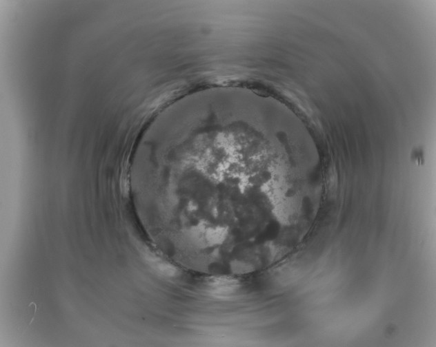 X0000091960719200709061301