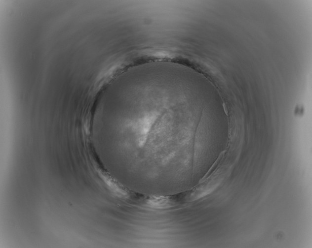 X0000091960720200709061301