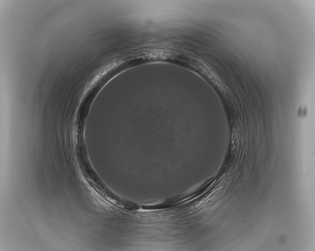 X0000091960722200709061301