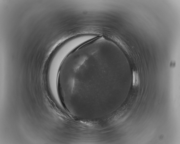 X0000091960723200709061301