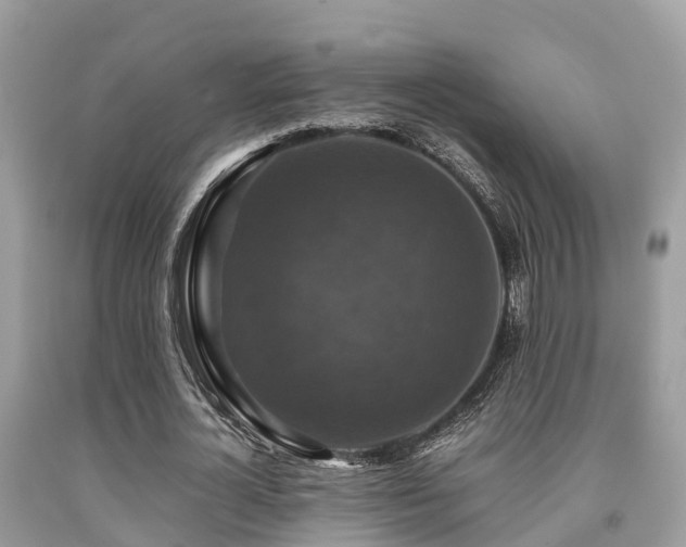 X0000091960724200709061301