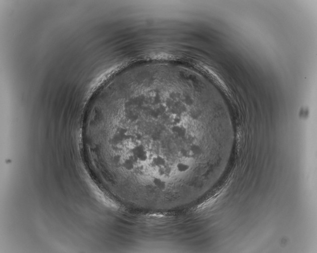 X0000091960725200709061301