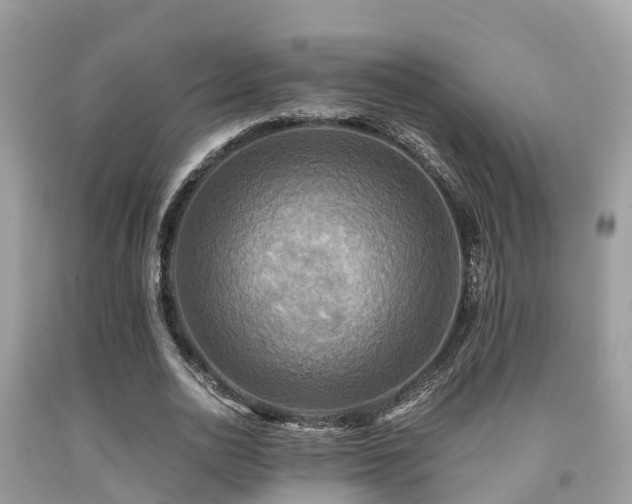 X0000091960726200709061301