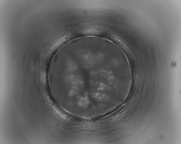 X0000091960729200709061301