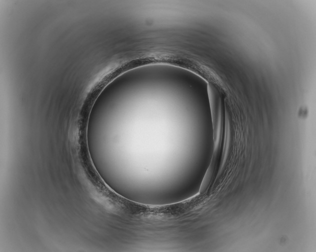 X0000091960730200709061301