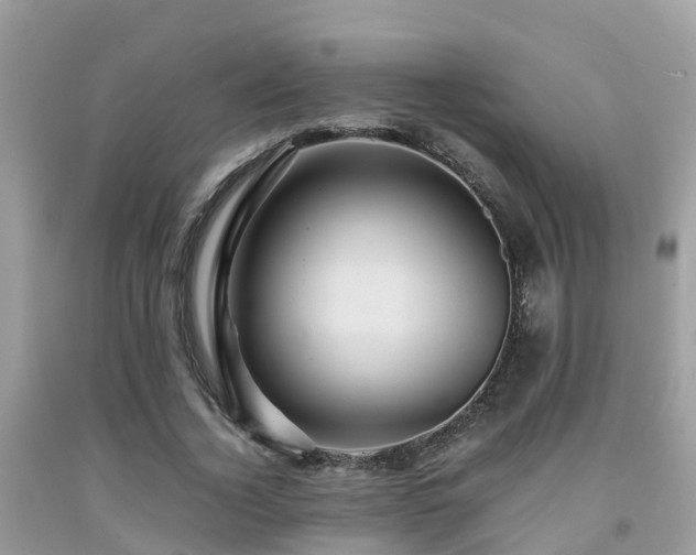 X0000091960732200709061301