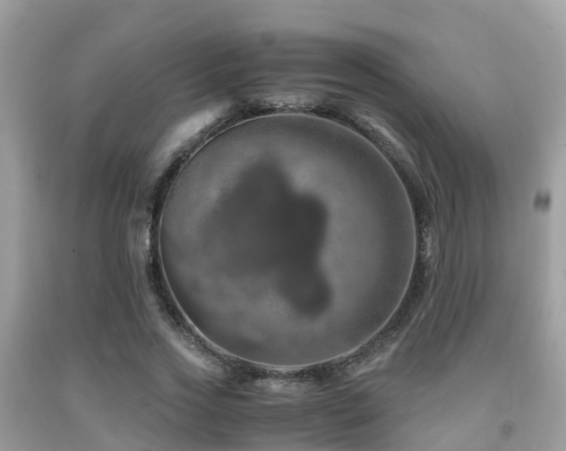 X0000091960733200709061301