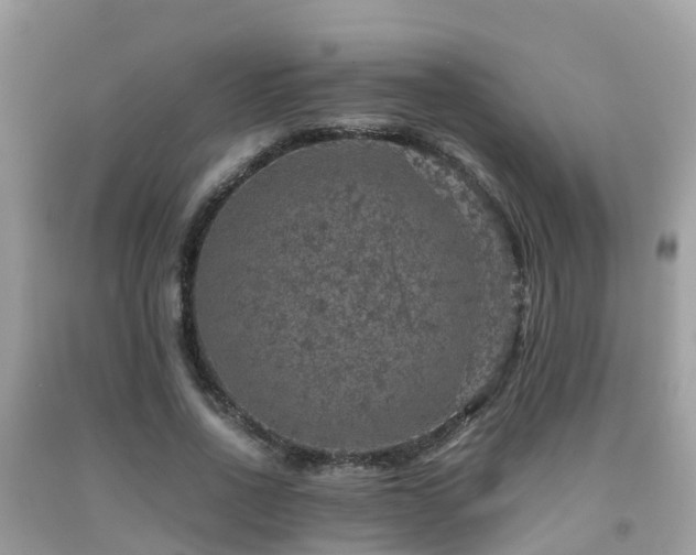 X0000091960734200709061301