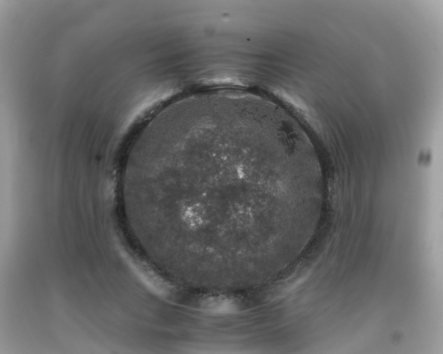 X0000091960735200709061301