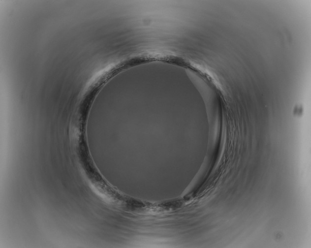 X0000091960736200709061301