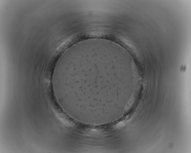 X0000091960737200709061301