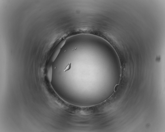 X0000091960739200709061301